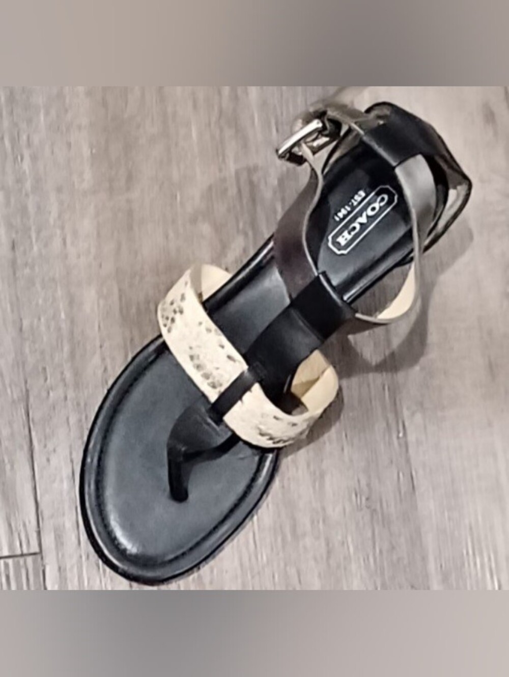 Coach Velvet Ankle T Strap Snakeskin Sandal With Slight Wedge Heel